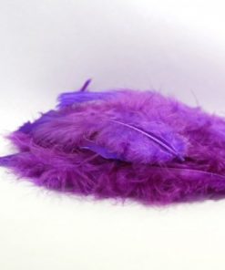 Plume violette - Lot de 20
