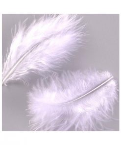 plume blanche