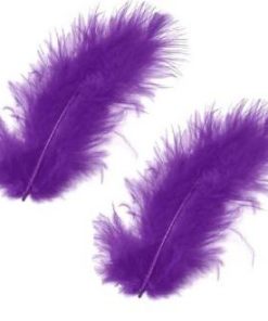 Alternative view of Plume violette - Lot de 20