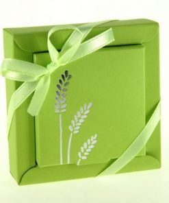 Boite à dragées Communion - Carré - Vert