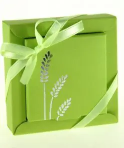 Boite à dragées Communion - Carré - Vert