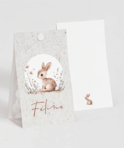 Boite a dragees lapin