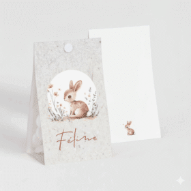 Boite a dragees lapin