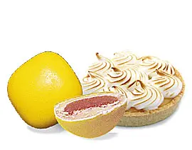 Dragées tarte citron - 500gr – Image 3