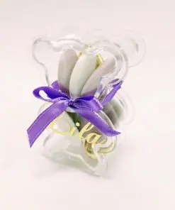 Contenant dragees ourson plexi