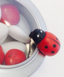 bapteme theme coccinelle