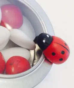 bapteme theme coccinelle