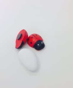 Alternative view of Coccinelle aimantée en bois