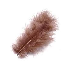 Alternative view of Plume chocolat - Lot de 20