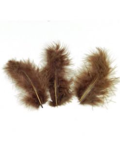 Plume chocolat - Lot de 20