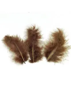 Plume chocolat - Lot de 20