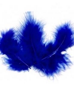 plumes bleu roi