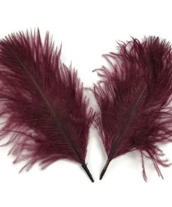 plumes bordeaux