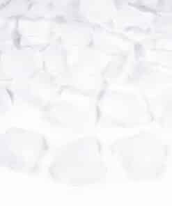 Canon confettis pétales blanc