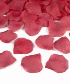 Canon confettis rouge