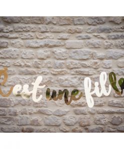 guirlande baby shower fille