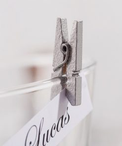 mini pince linge argenté