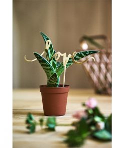 Alternative view of Pic Love doré