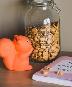 ecureuil orange tirelire deco