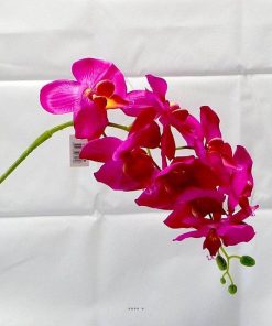 orchidee fuchsia deco mariage