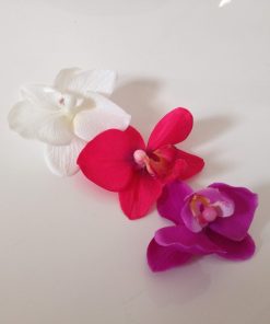 Alternative view of Orchidées Fuchsia-GM-Lot de 6