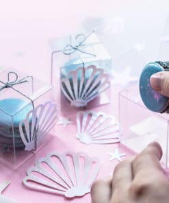 Coquillage confettis