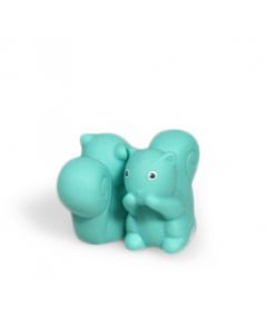 ecureuil aimanté aqua dragees naissance