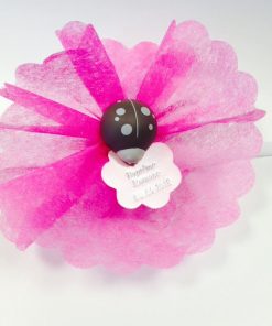 dragees coccinelle