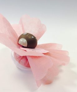 dragees coccinelle