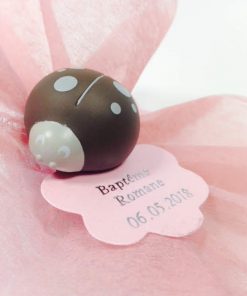 clip coccinelle taupe dragees coccinelle