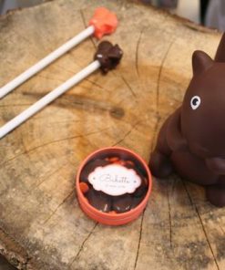 collection ecureuil deco automne