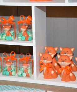 dragees bapteme renard