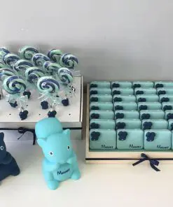 dragees ecureuil bapteme naissance