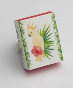 contenant à dragées perruche-collection tropical exotique