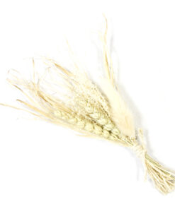 Alternative view of Bouquet Fleurs séchées