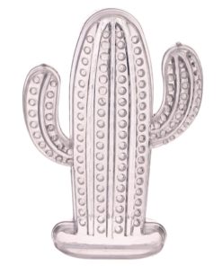 Contenant dragées cactus