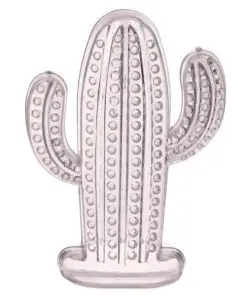 Contenant dragées cactus