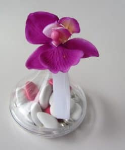 goutte plate a dragees