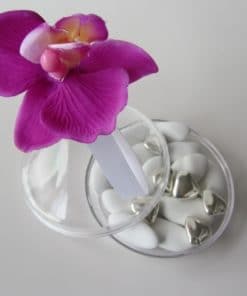 goutte plate a dragees