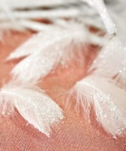 plume pailleté blanche