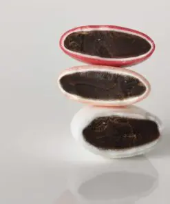 dragees chocolat echantillon