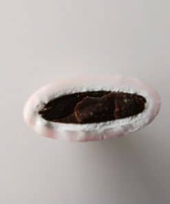 Chocolat Entrée de Gamme