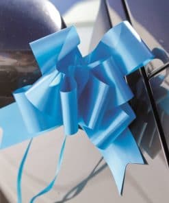 Noeud decoration voiture turquoise