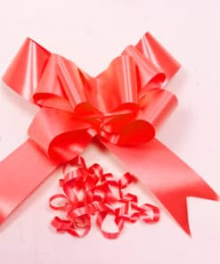 Noeud decoration voiture rouge