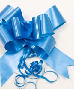 Noeud decoration voiture turquoise