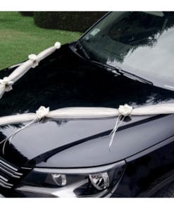 Decoration voiture ivoire