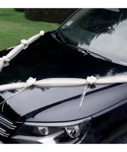 Decoration voiture ivoire