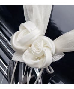 Decoration voiture ivoire