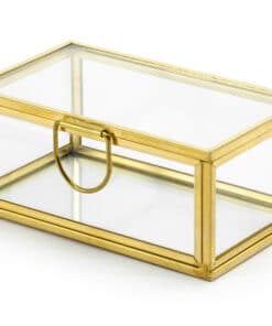 PORTE ALLIANCE VERRE