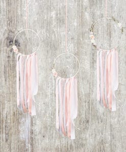 Msc attrapes reves corail